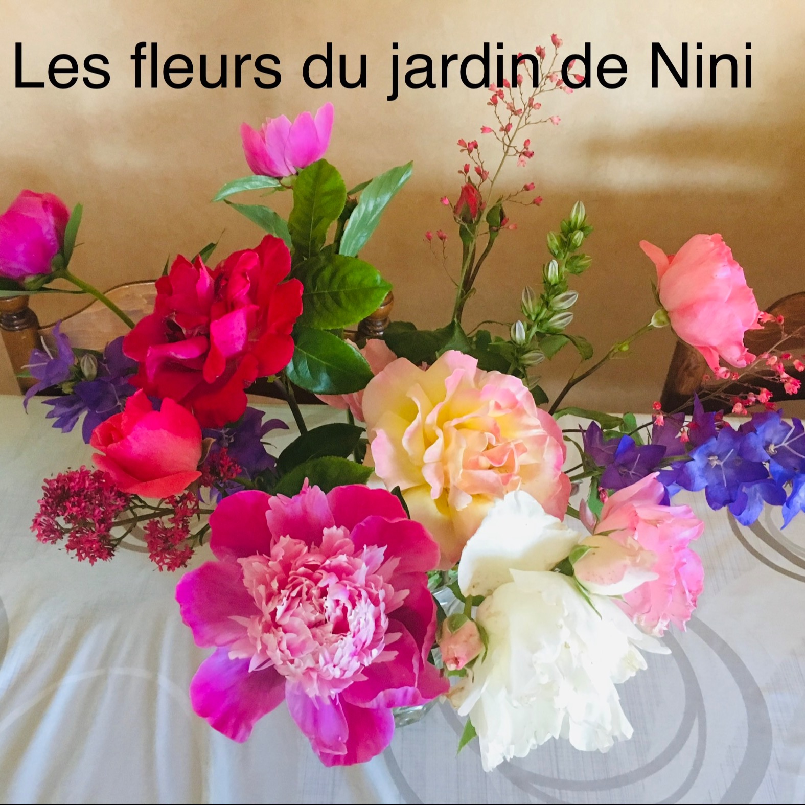 Photo de Denise BROGI
